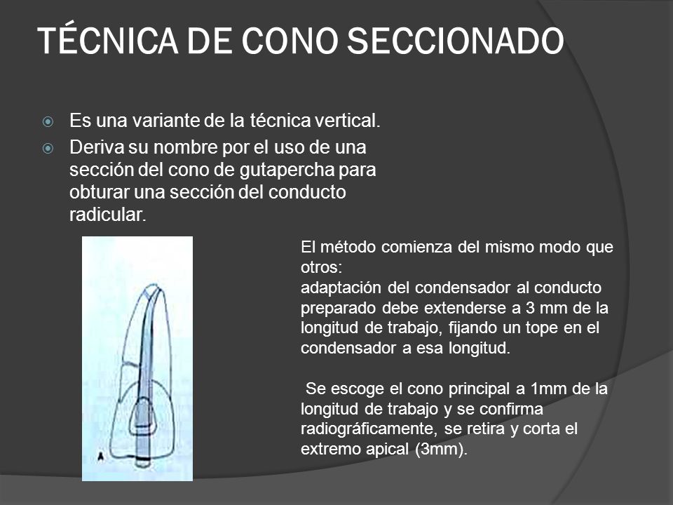 El programa del tratamiento del alcoholismo en los centros de rehabilitación